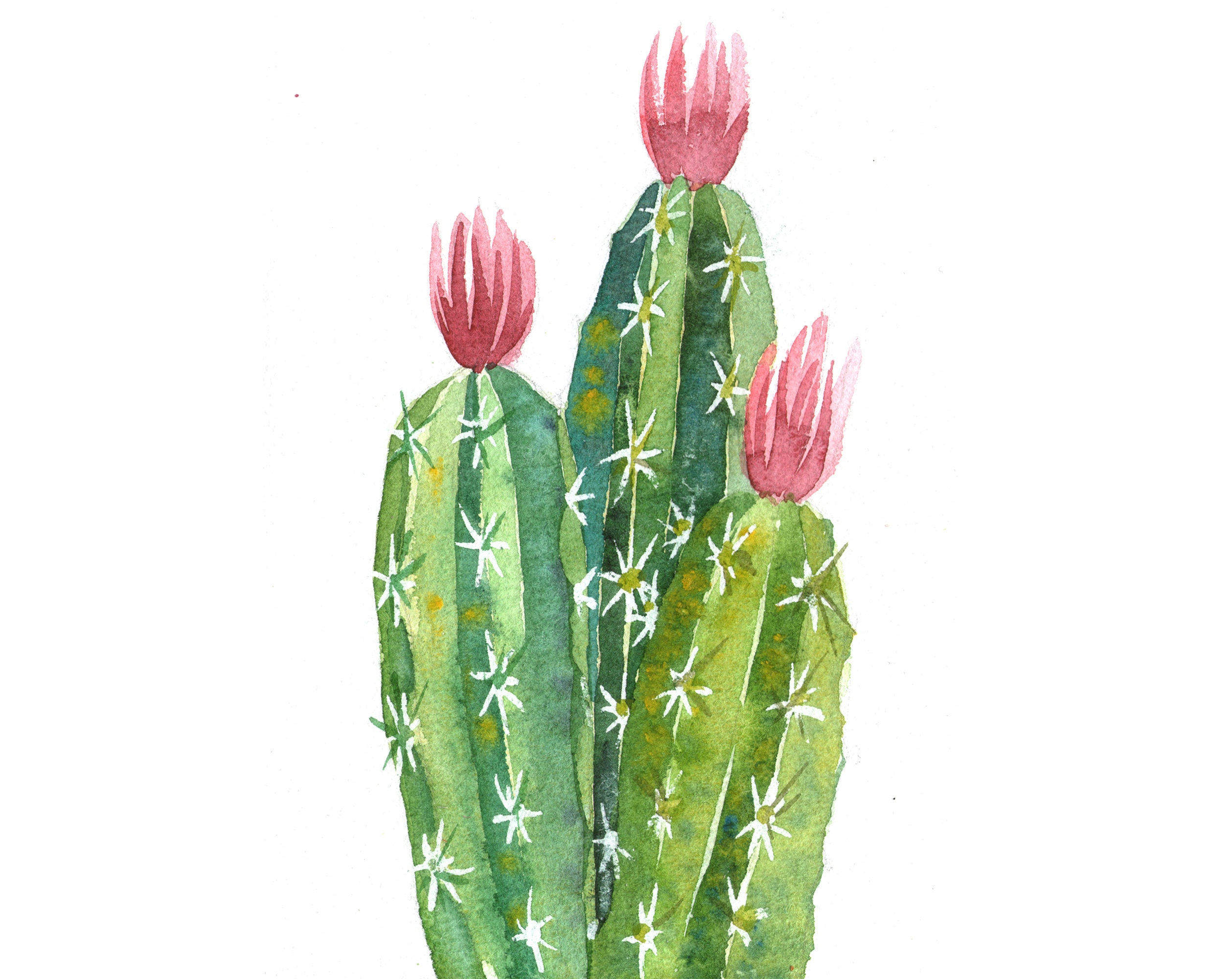 Cactus Painting Original Art Blooming cactus Watercolor Small Etsy