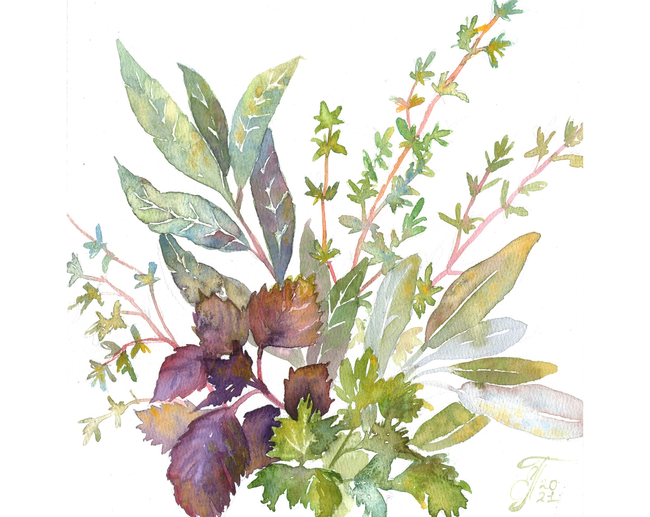 Küche Kräuter Malerei Bouquet Garni Original Aquarell Kunst | Etsy