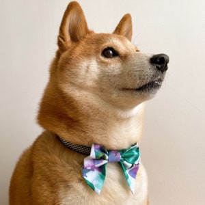 Pajarita de marinero con estampado de tulipanes morados de verano para collar de mascota. Pajarita para collar de gato. Pajarita para collar de perro. 100 % algodón.