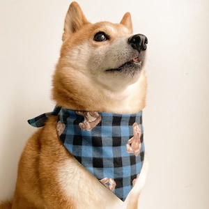 Blue Teddy Bear Tartan Reversible Pet Bandana. Cat Bandana. Dog Bandana.