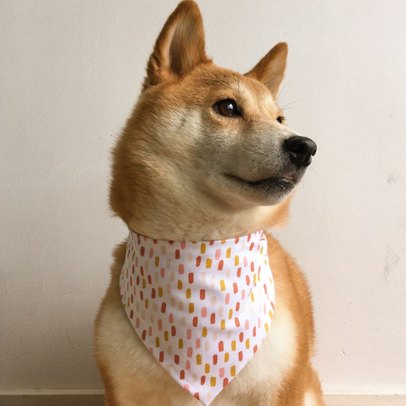 Rainbow Print Reversible Pet Bandana. Cat Bandana. Dog Bandana. 100% Cotton. image 4