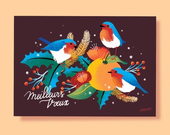Carte de voeux, Carte oiseaux illustration, meilleurs voeux, carte nouvelle année, bonne année, carte de Noël