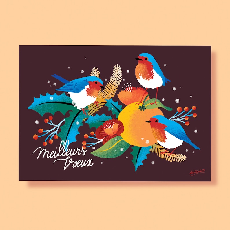 Carte de voeux, Carte oiseaux illustration, meilleurs voeux, carte nouvelle année, bonne année, carte de Noël image 1