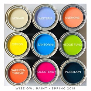 Wise Owl Chalk Synthesis Paint