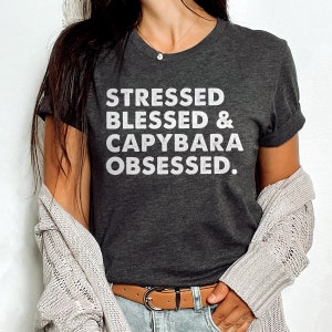 Capybara Shirt, Capybara Gift, Cute Capybara t-shirt, Capybara Lover Gift, Capybara obsessed, Funny Capybara shirt for her /him,
