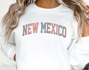 New Mexico Sweatshirt, NM Crewneck, State of New Mexico Gift for him or her, Retro New Mexico Hoodie, Family Vacation Travel Outfit (Spring)