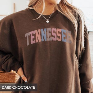Tennessee Sweatshirt, TN Crewneck, State of Tennessee Gift for him or her, Retro Tennessee Hoodie, Family Vacation Travel Outfit (Spring) image 6