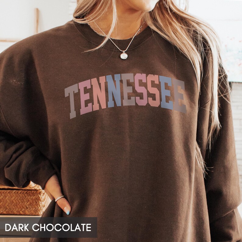 Tennessee Sweatshirt, TN Crewneck, State of Tennessee Gift for him or her, Retro Tennessee Hoodie, Family Vacation Travel Outfit (Spring) image 6