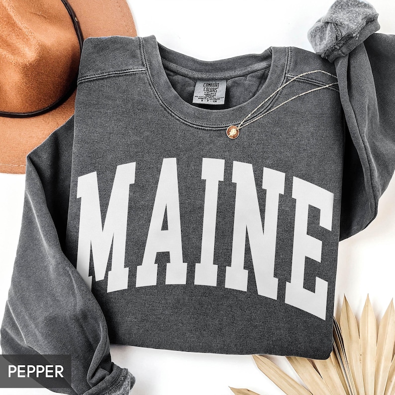Comfort Colors® Maine Sweatshirt, State of Maine Gift for him her, Vintage Retro Maine Hoodie, Maine Family Vacation Travel outfit image 3