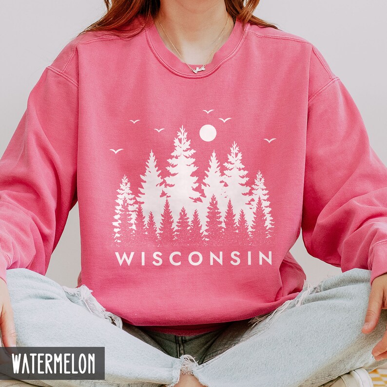Puede incluir: Una sudadera rosa con un gr&aacute;fico blanco de una silueta de bosque y la palabra "WISCONSIN". La sudadera es de cuello redondo y tiene un corte holgado.