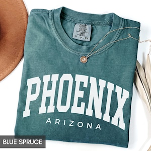 Comfort Colors® Phoenix Arizona Shirt, Family Vacation Phoenix AZ Travel Souvenir, State of Arizona Group Trip Matching tees, women or men