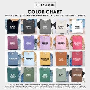An informational color chart displaying swatch samples of twenty different t-shirt colors with their names labeled.