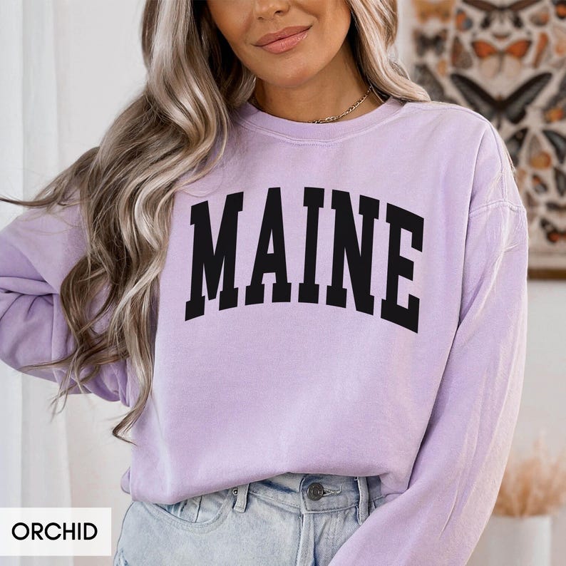 Comfort Colors® Maine Sweatshirt, State of Maine Gift for him her, Vintage Retro Maine Hoodie, Maine Family Vacation Travel outfit image 2