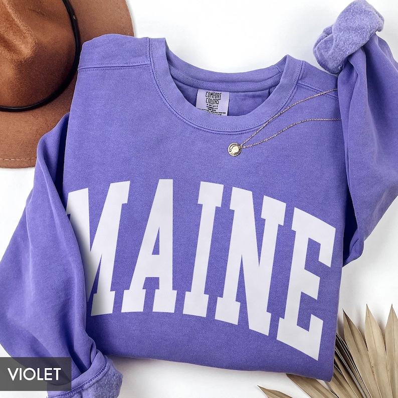 Comfort Colors® Maine Sweatshirt, State of Maine Gift for him her, Vintage Retro Maine Hoodie, Maine Family Vacation Travel outfit image 6