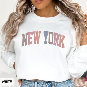 New York Sweatshirt, NY Crewneck, State of New York Gift for him or her, Retro New York Hoodie, Family Vacation Travel Outfit (Spring)