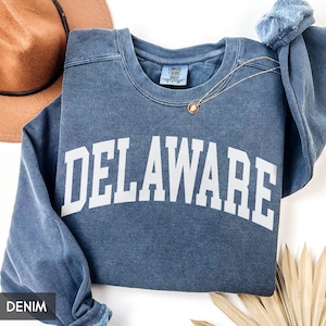 May include: A denim blue sweatshirt with the word "DELAWARE" in large white block letters. A gold necklace with a pendant rests on the sweatshirt. A brown hat is visible in the background.
