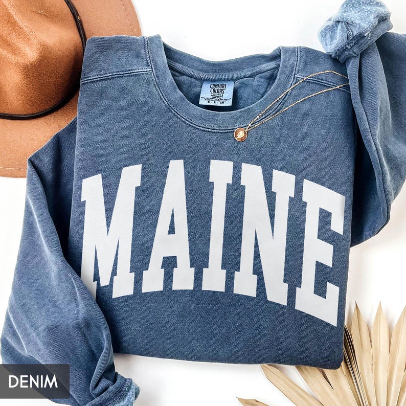 Comfort Colors® Maine Sweatshirt, State of Maine Gift for him her, Vintage Retro Maine Hoodie, Maine Family Vacation Travel outfit image 1