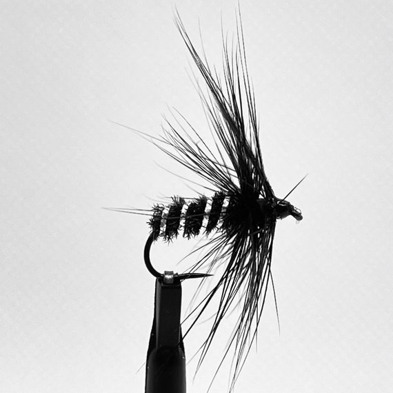 6 Black Peacock Spider Wet Flies Fly Fishing Hook 10 Hand Made