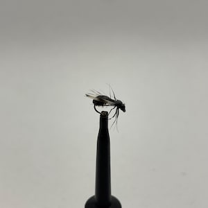6 Black Ant Dry Fishing Fly Hook Size 12,16 Hand Made in USA