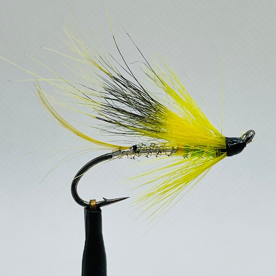 6 Afternoon Delight Salmon Fly Fishing Fly Hook 6 Custom Hand Made