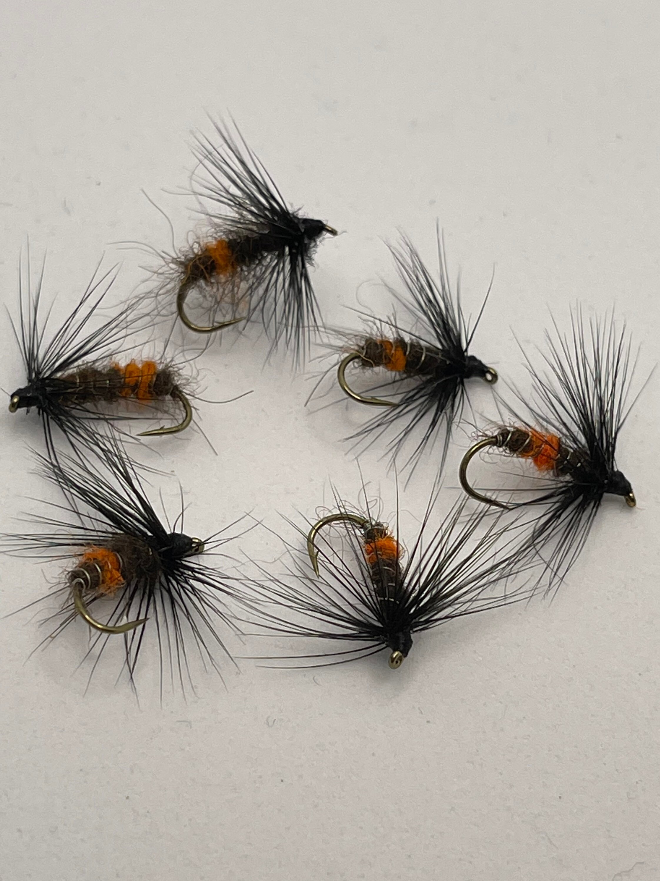 BIBIO Forelle Fliegen Set - 12 Stück Mit Goldkopf Für Fliegenfischen