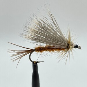 Ragni Bagnati Misure 12/14 Mosche Pesca Trota Set 24 Mosche Da Trota