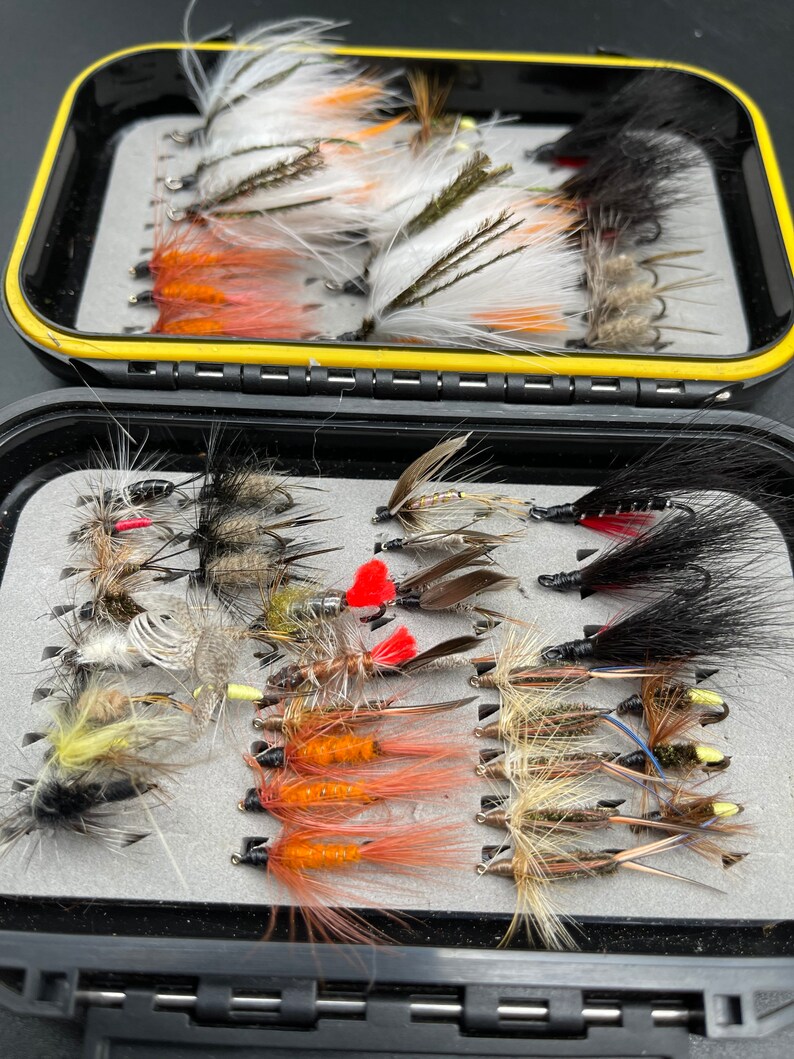 45 Mixed Trout Flies in a  large Silicone Insert Box Named in description