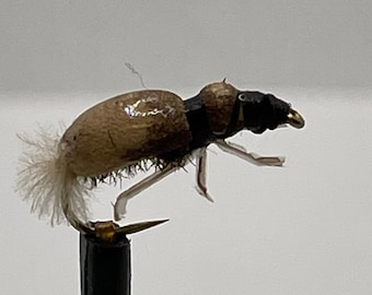 May include: A brown and black fly fishing lure with a white tail and a gold hook.