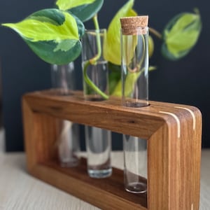 Handmade propagation station