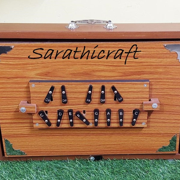 Shruthi Box Groß 40x30x3 Zoll, Teakholz und Ply, 440Hertz Sur Pete mit Formtasche, Musikinstrument Weihnachtsgeschenk (Made in INDIA)