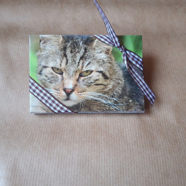 Miau, Kleine Katzen-Umschläge, Upcycling-Briefumschläge (10 Stück)