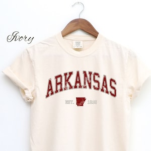 Vintage Arkansas Comfort Colors Shirt, Arkansas Family Vacation Gift, Hot Springs Park Shirt, Student University Graduation Gift