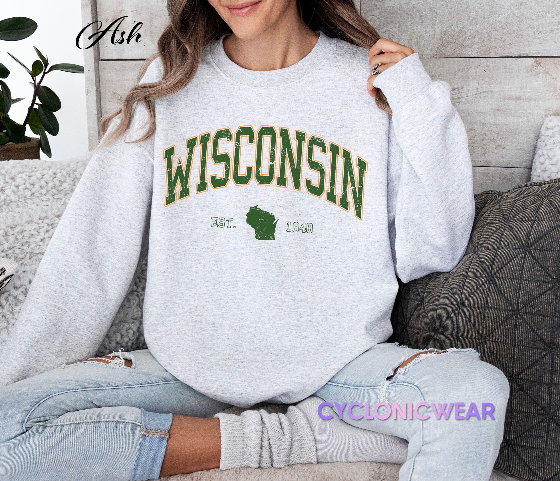 60s USA製 SPORTSWEAR WISCONSIN DELLS 染み込みプリント