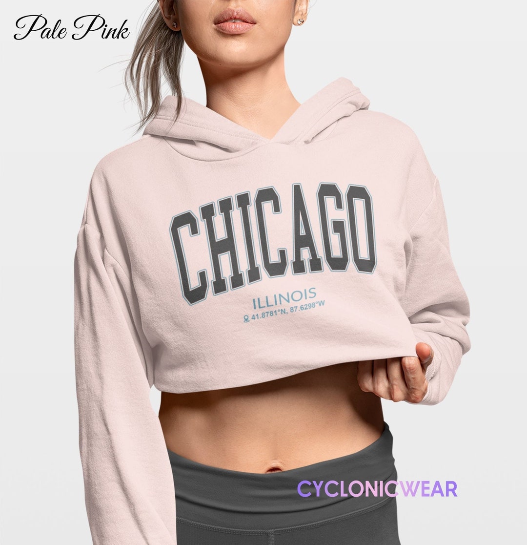 Vintage Chicago Illinois Crop Hoodie Chicago College Sweatshirt