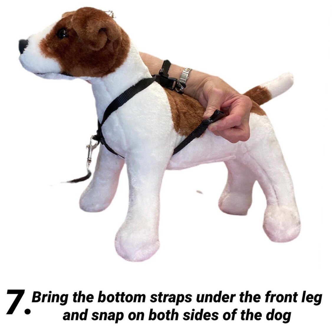 Groomers Harness Pro with Extenders Etsy