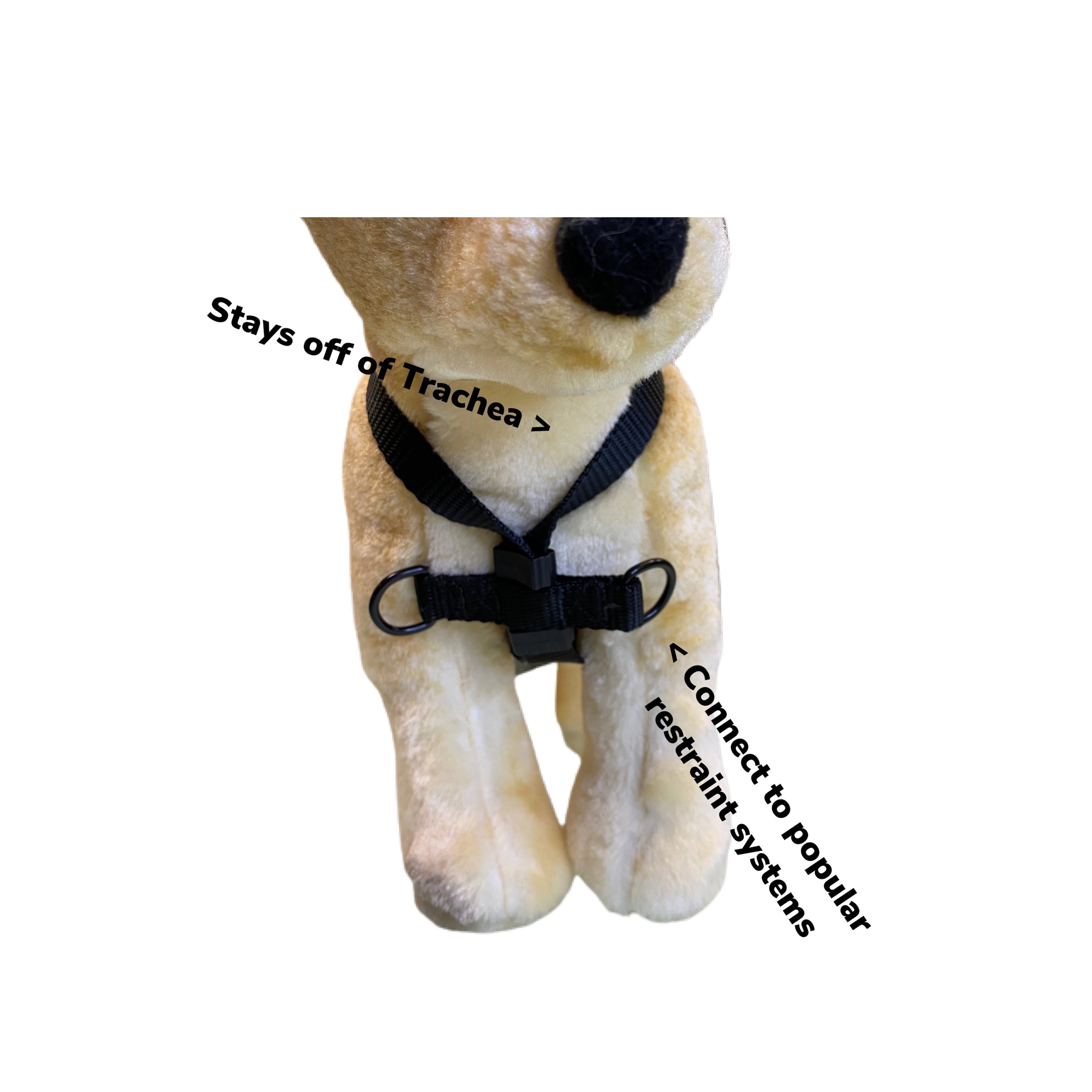 Groomers Harness Etsy