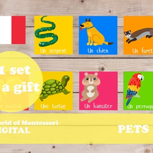 PRINTABLE MONTESSORI CARDS With Pets In French For Home Studying