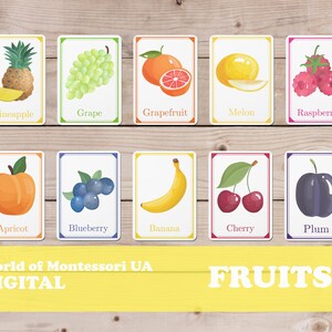PRINTABLE FRUIT MONTESSORI Cards For Home Studying
