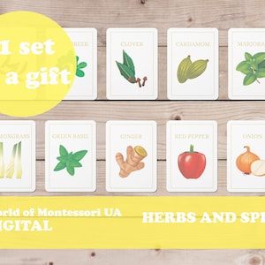HERBS AND SPICES Card Set. Montessori Cards.
