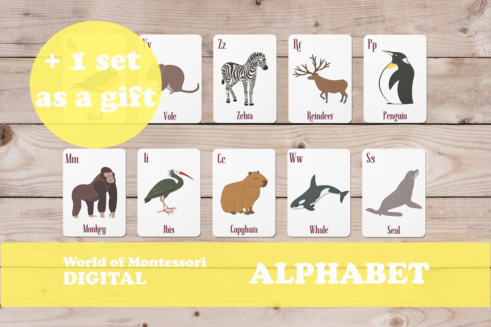 printable alphabet montessori cards for home studying etsy