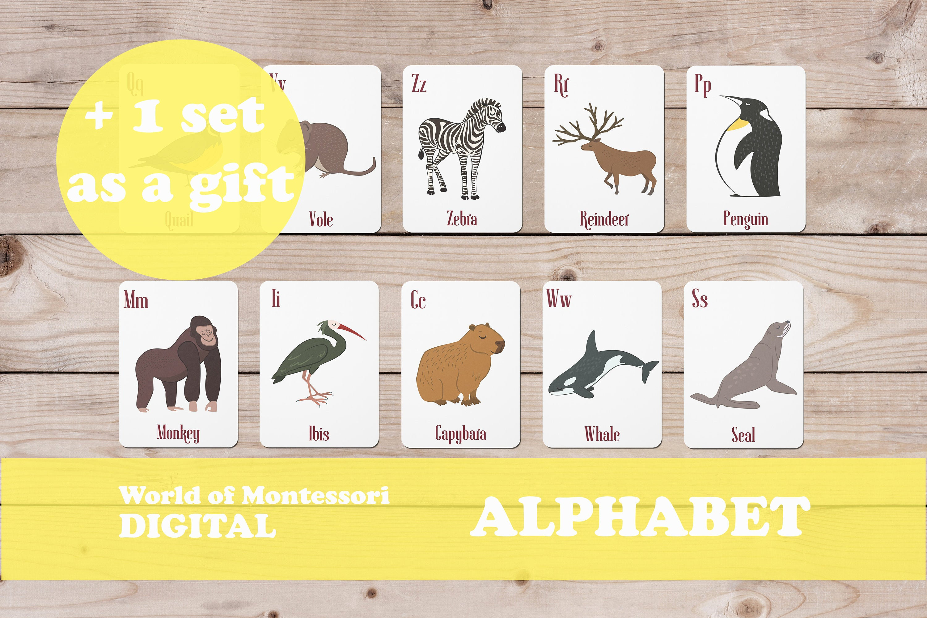 PRINTABLE ALPHABET MONTESSORI Cards For Home Studying | Etsy