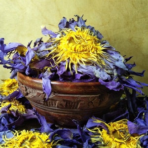 Lotus Blue Caerulea Flower Dried Nymphaea Organic Tea Ceylon Extract Egyptian Blue Lotus Hand Picked Oz