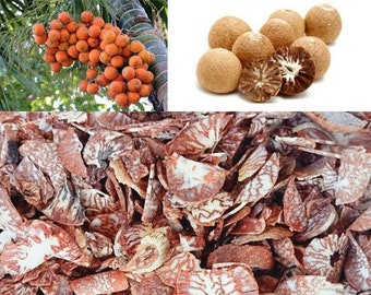 Organic Whole Areca Catechu Betel Nut Chips Non Gmo From Ceylon Oz Premium Quality
