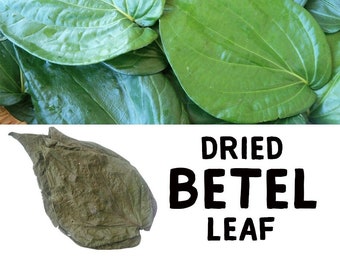 Bio-Betelblätter Frisch Kräuterblatt für die Gesundheit von Paanblättern aromatischen Geschmack