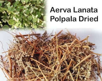 Dried Aerva Lanata Balipoovu Herbal Drink Tea Pol Pala 100% Natural Ayurveda