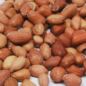 Unsalted Roasted Raw Peanuts Ground Nuts Jimbos Crunchies Ceylon Legume Non Gmo