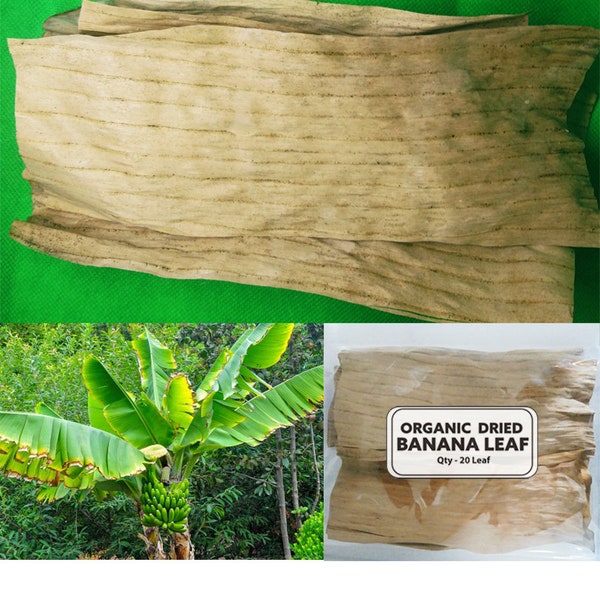 Dried Banana Leaf's Anti Bacteria Relieve Stress Fish Aquarium Clean 50/100/250