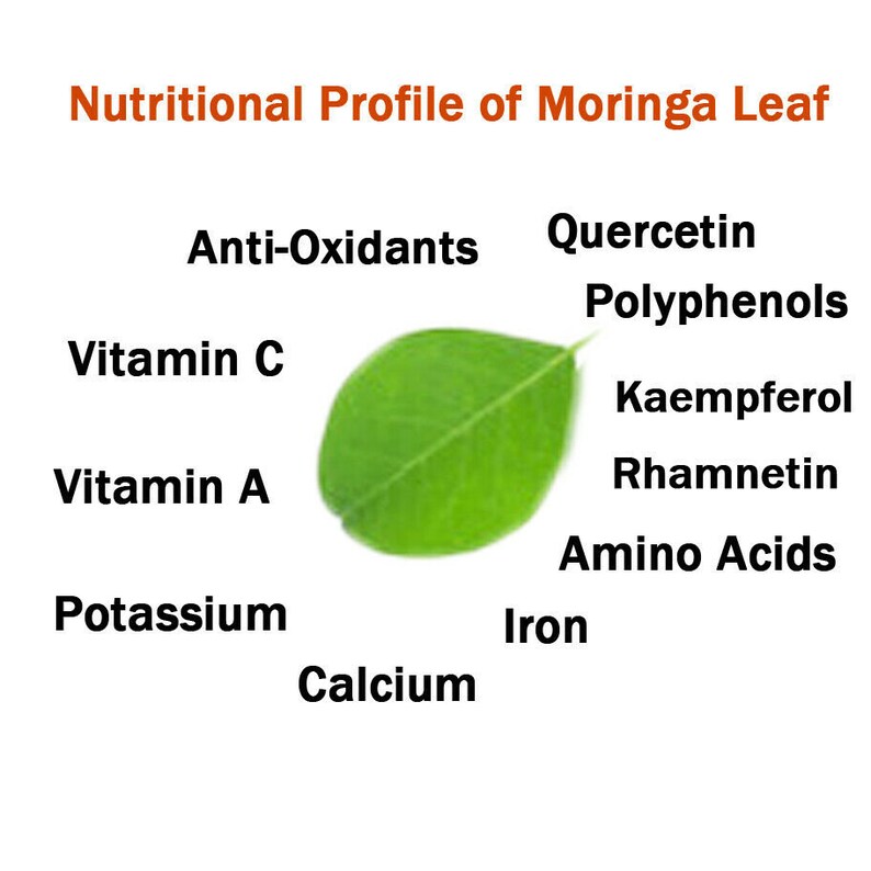 K&ouml;nnte beinhalten: Ein leuchtend gr&uuml;nes Moringa-Blatt vor wei&szlig;em Hintergrund. Schwarzer und orangefarbener Text listet das N&auml;hrwertprofil auf, einschlie&szlig;lich Antioxidantien, Vitamin C, Vitamin A, Kalium, Quercetin, Polyphenole, Kaempferol, Rhamnetin, Aminos&auml;uren, Eisen und Kalzium.