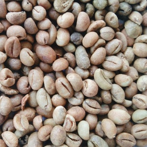 Ceylon 100% Natural Organic Tasty Unroasted Robusta Green Coffee Beans From Ceylon