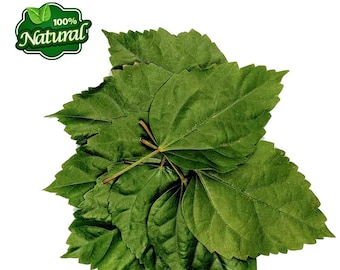 Dried Hibiscus Leaves Nutritious Organic Herbal Dried Herbs Leaf Dry Gudhal From Ceylon